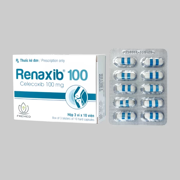 RENAXIB 100